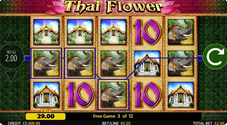 thai-flower