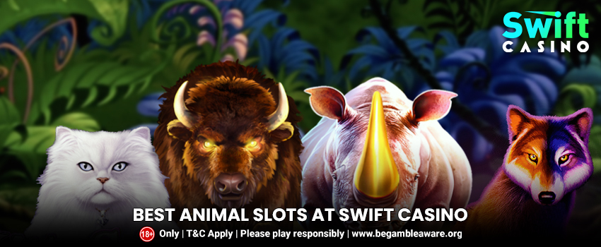 Check out Swift’s best Animal slots right now!